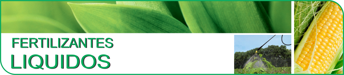 Linea de Productos Líquidos 